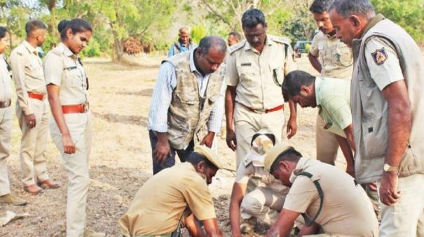 In Tamil Nadu - Karnataka Forests, Work of Tracking and Searching for a Single Elephant is Intense