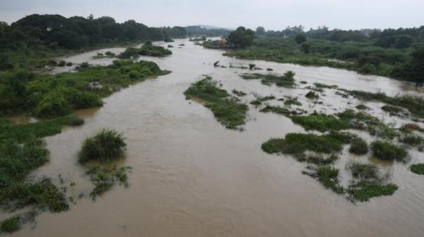 African catfish breeding in Thamirabarani