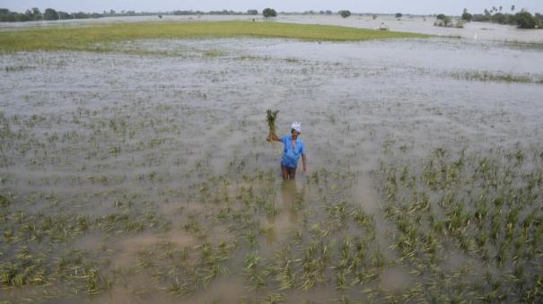 Tamilnadu government Issue of Ordinance farmers for South District Heavy Rain