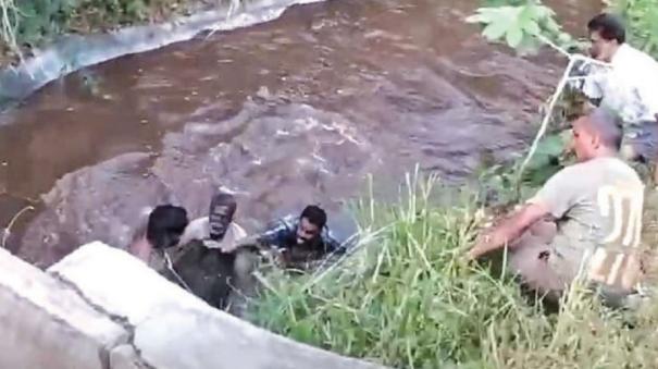 Forest Department Rescues Baby Elephant that Fell into Kantoor Canal