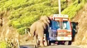 an-elephant-blocked-a-lorry-and-damaged-the-car-on-munnar
