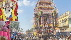 masi-festival-palani-mariamman-temple-therottam-kolagalam