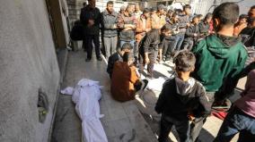 dozens-killed-by-israeli-fire-in-gaza-while-collecting-food-aid