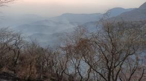forest-department-struggle-to-control-fire-spread-in-yercaud-forest-areas