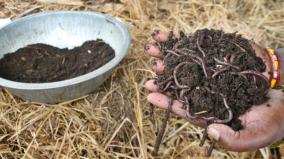 an-exercise-explaining-the-process-of-vermicomposting