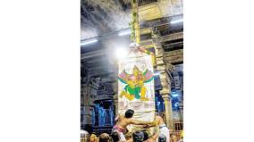 srirangam-ther-festival