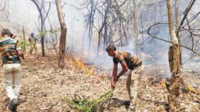 fighting-and-extinguishing-forest-fires-on-yercaud-and-kurumbapatti-reserve-forests