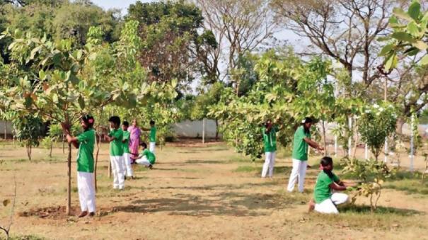 Pupils Providing Food and Water to the Birds on Begarahalli Govt School