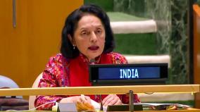 women-play-key-role-in-creating-developed-india-india-s-un-envoy