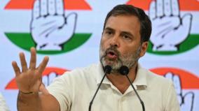 congress-bank-accounts-frozen-can-t-campaign-says-rahul-gandhi