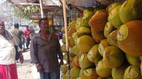 election-awareness-by-pasting-stickers-on-watermelon-nungu-near-hosur