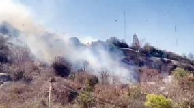 forest-fire-near-hosur-hill-temple