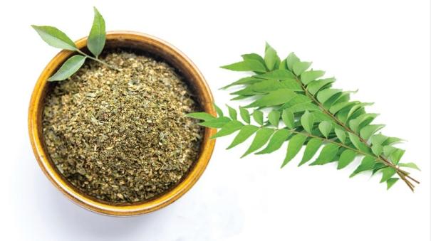 Curry leaves help in weight loss