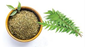 curry-leaves-help-in-weight-loss