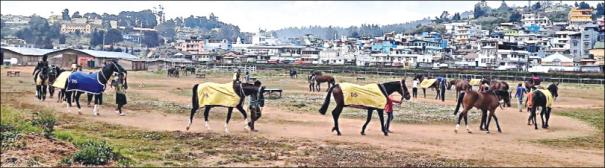 horse race in ooty