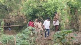 search-for-the-leopard-on-mayiladuthurai-intensified-for-the-2nd-day
