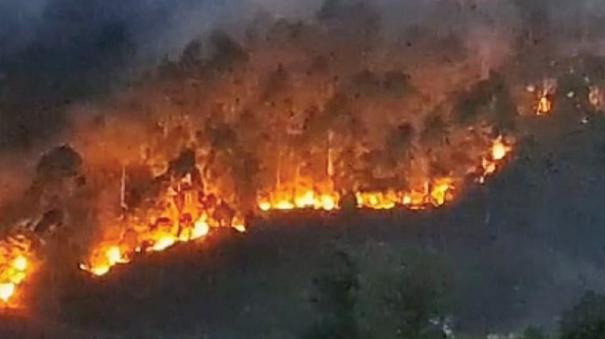 Forest Fire Burning on Kodaikanal Area