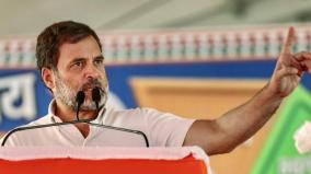 new-govt-will-transfer-rs-1-lakh-into-accounts-of-women-from-sc-and-st-categories-says-rahul-gandhi