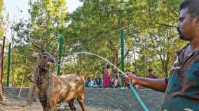 installation-of-coolers-and-sprinklers-on-kurumbapatti-park-to-protect-animals-and-birds