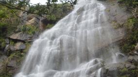 can-thalaiyuthu-waterfalls-which-pours-water-all-year-round-be-developed-as-a-tourist-attraction