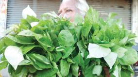 farm-greens-to-eliminate-waste-amaranthus-spinosus-for-asthma