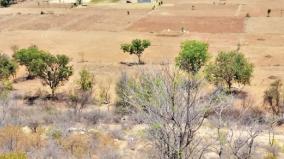 scorching-summer-heat-drought-affects-agriculture-on-arur