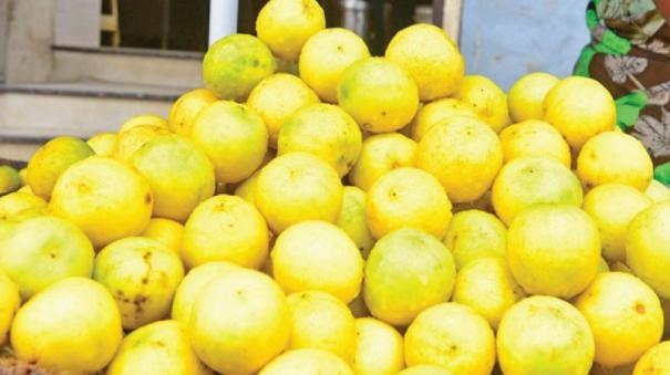 Lemon Price Hike on Madurai: Up to Rs.15 Per Fruit