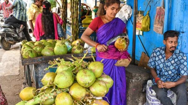 Benefits of Tender Coconut Water that Reduces the Effect of Dehydration of the Body Summer Special