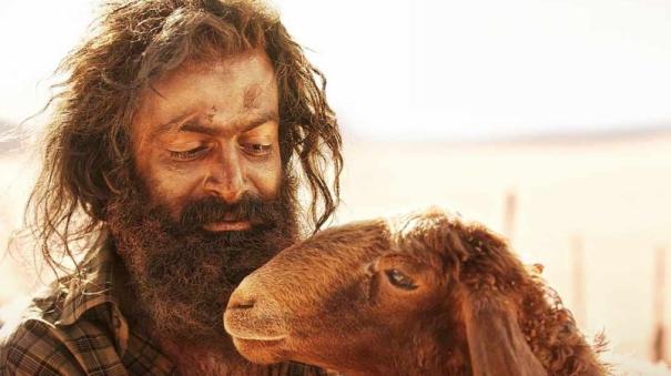 Prithviraj starrer Aadujeevitham crossed 150 cr around the world