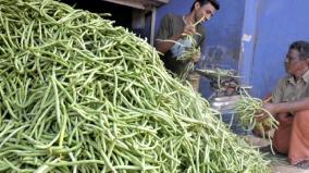 beans-price-hike-farmers-rejoice