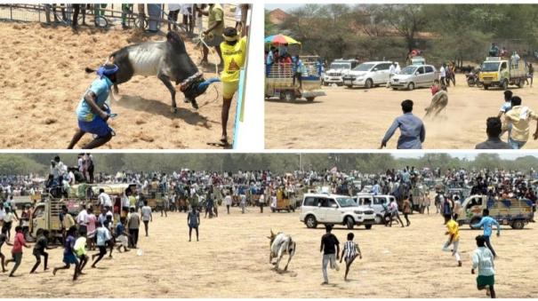 Kandaramanikam Manjuvirattu A spectator was killed in a bull run; 70 people were injured