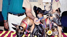 addition-of-belgian-shepherd-dogs-to-the-sniffer-unit-of-the-police-department