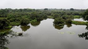 hc-directed-govt-to-start-identification-of-wetlands-in-tamil-nadu-from-june