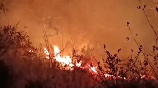 Nainital forest fire reaches near IAF station