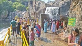 allowed-to-bath-in-manimuthar-falls-after-4-months