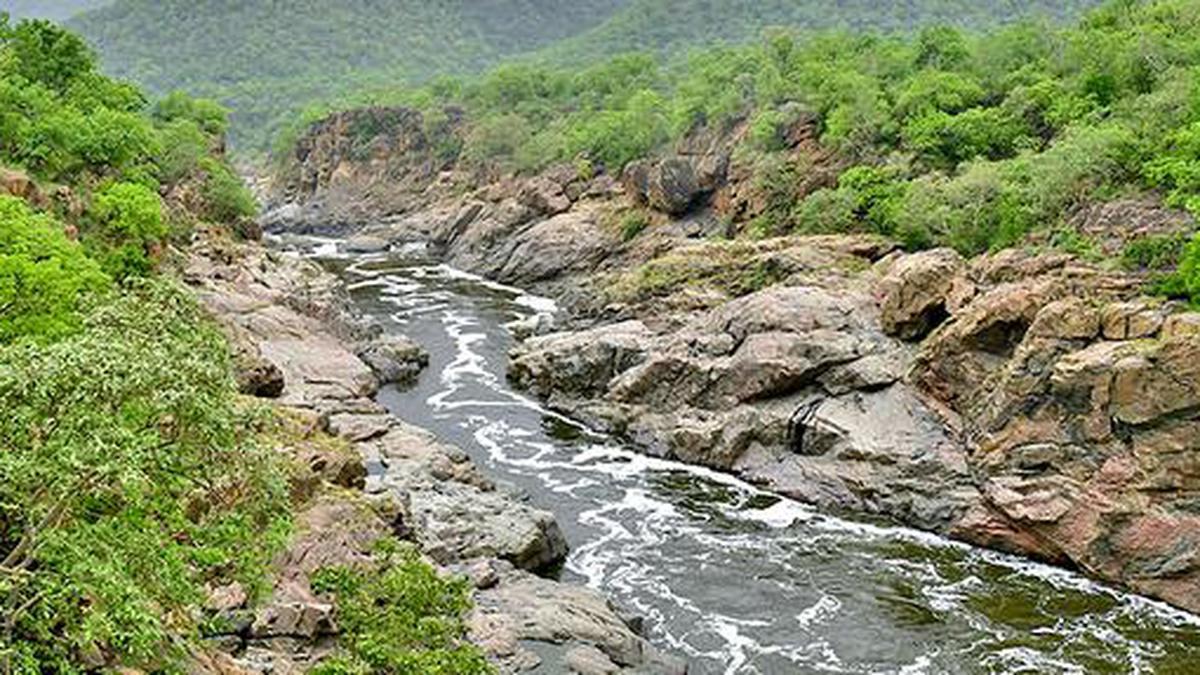 த‌மிழகத்துக்கு தண்ணீர் தர முடியாது: காவிரி ஒழுங்காற்று குழு கூட்டத்தில்  கர்நாடகா திட்டவட்டம் | Cant give water to tn Karnataka informs Cauvery  Management Committee ...