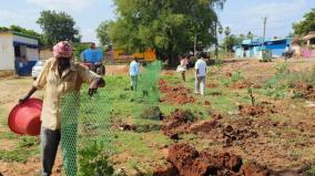 ramadoss-urges-the-government-about-tree-plantation