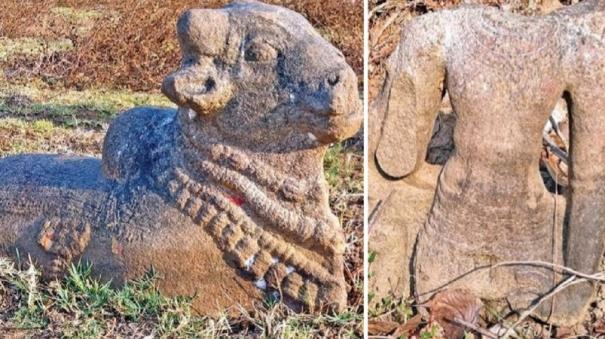 Chola Era Nandi and Vishnu Stone Sculptures Buried on Fields @ Thanjavur