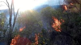 forest-fire-has-been-raging-on-srivilliputhur-meghamalai-tiger-reserve-for-3-days