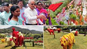 rose-display-decorations-with-an-emphasis-on-protecting-wildlife-in-ooty