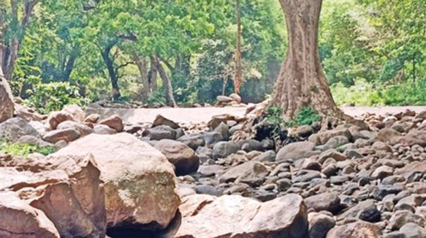 Ayyanar temple river is dry without water in rajapalayam