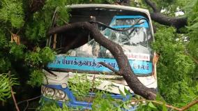 tree-fall-on-government-bus-near-mettur-due-to-heavy-rain
