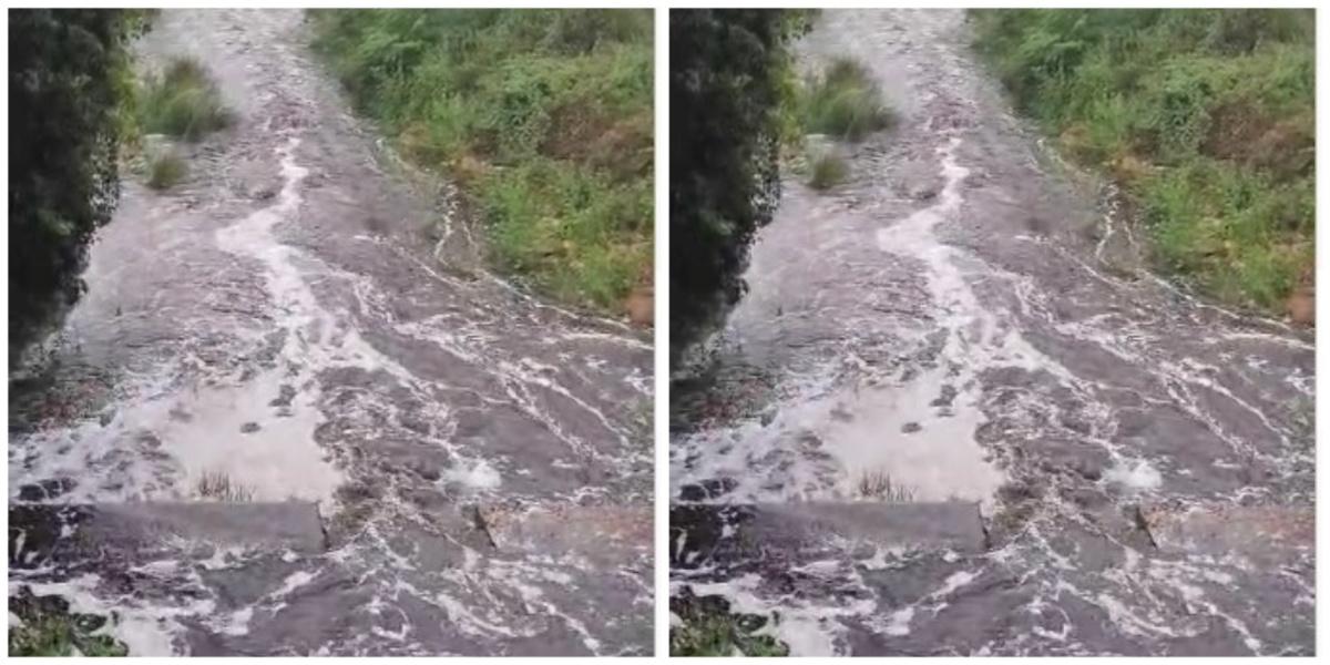  மேற்கு தொடர்ச்சி மலைப் பகுதியில் மழை:  மத்தள ஓடையில் திடீர் வெள்ளம் | Rain in Western Ghats:  Flash floods in Mathala Canal
