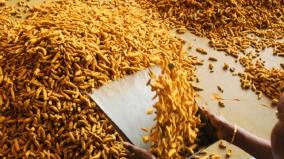 erode-farmers-are-disappointed-due-to-the-lack-of-increase-on-prices-of-new-turmeric