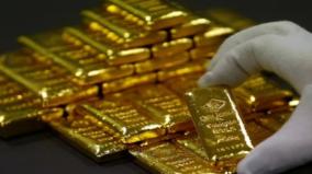 smuggled-from-sri-lanka-rs-13-952-kg-of-gold-worth-10-03-crore-seized