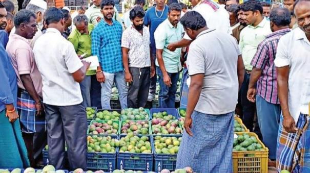 Local Yield Impact: Out State Mangoes Pile Up on Kaveripattinam Mendi