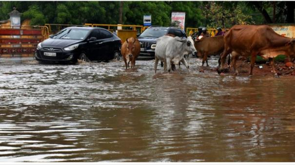 Heavy rain at Tirunelveli: Roads flooded by rain water