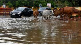heavy-rain-at-tirunelveli-roads-flooded-by-rain-water
