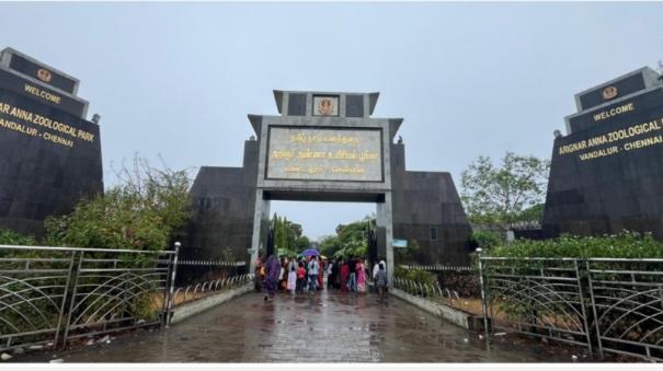 Staff injured after being bitten by crocodile at Vandalur Zoo