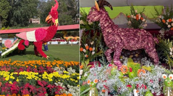 Annual flower show kicks off in Kodaikanal